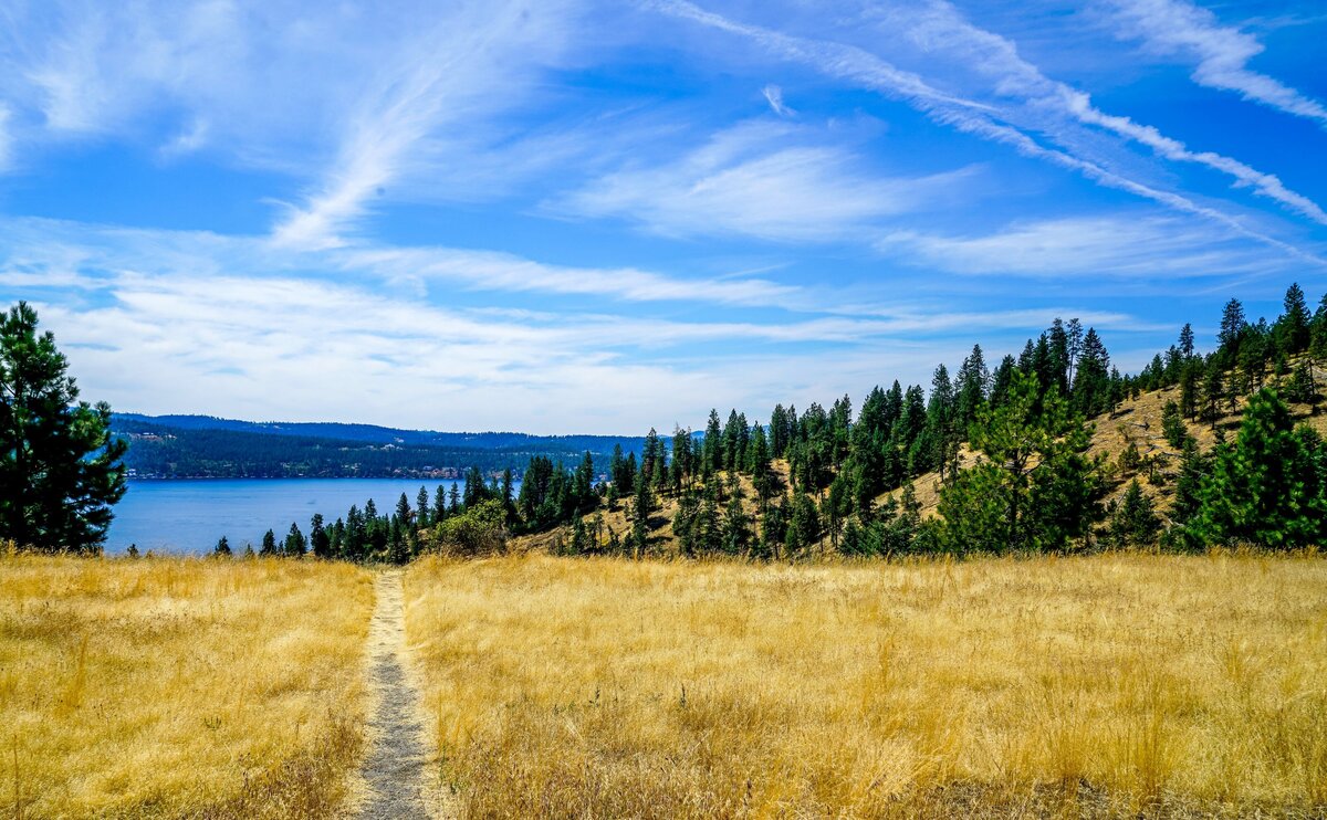 AdobeStock_188476081