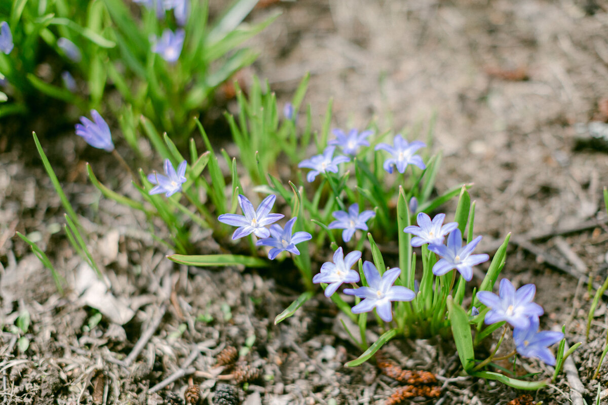 Jenni-Tuominen-photography-Hääkuvaus-Pirkanmaa23