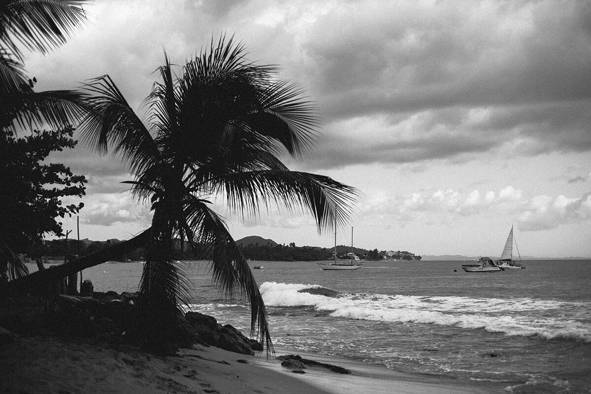 Michelle Norwood Living - Luxury Travel Inspiration - Puerto Rico - MSD-0414-2