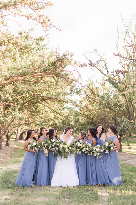bride and bridesmaids in almond grove in Bakersfield