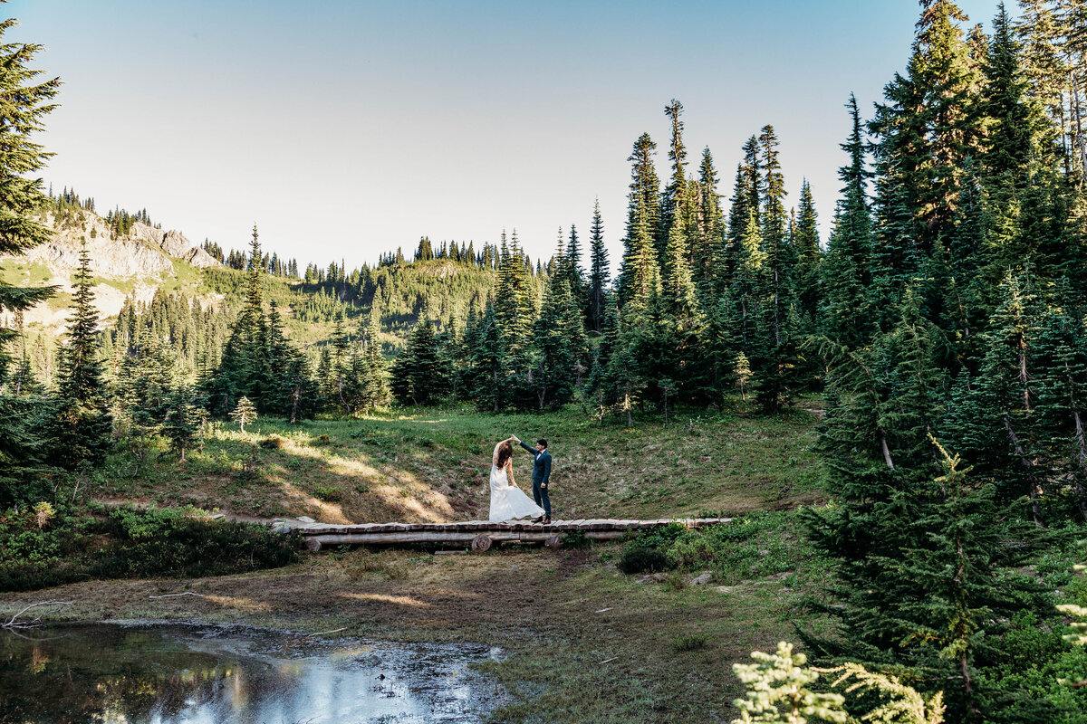 Mount Rainier, Washington Elopement-8657