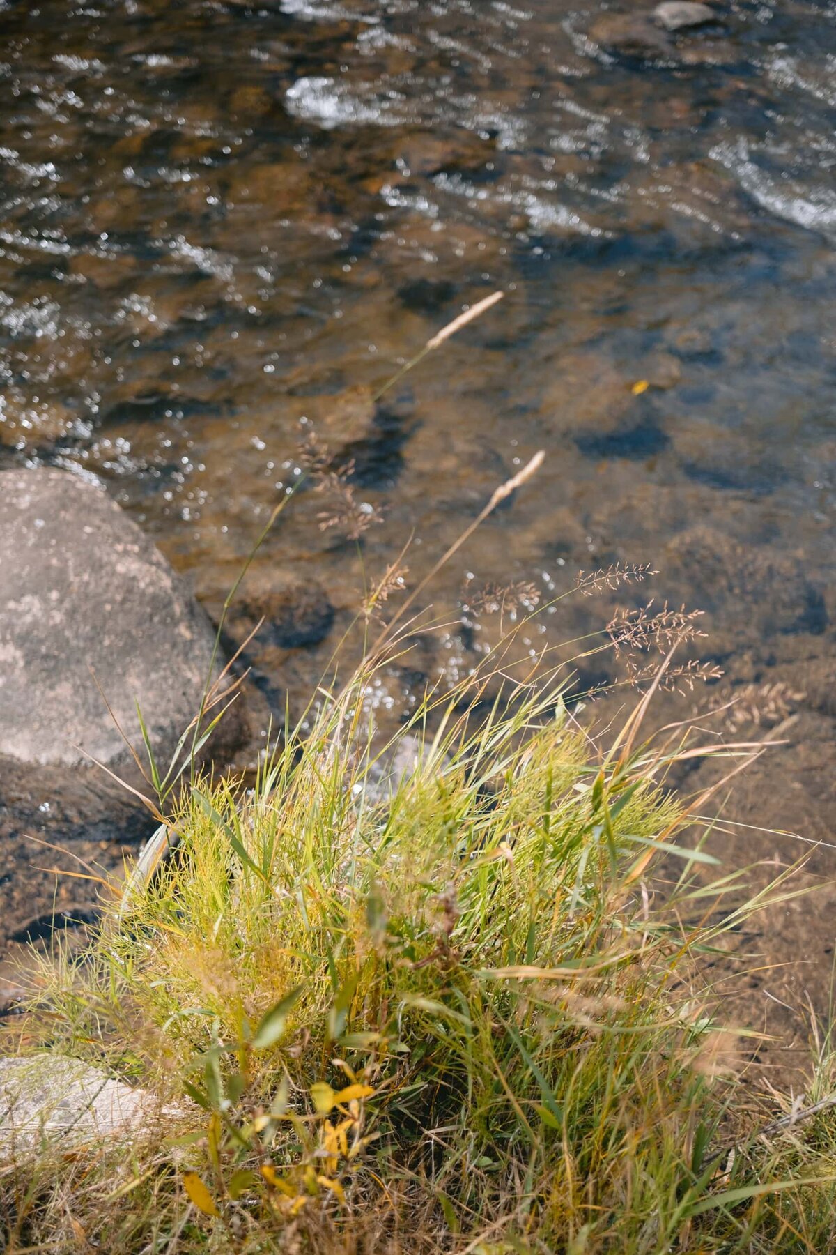 Houston Best Destination Wedding Photographers --24