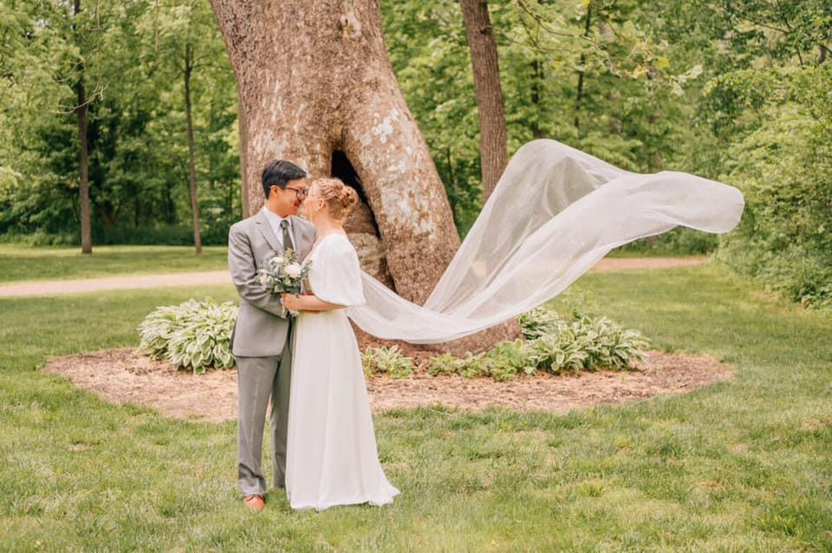 Bride and groom kissing in front of sycamore tree