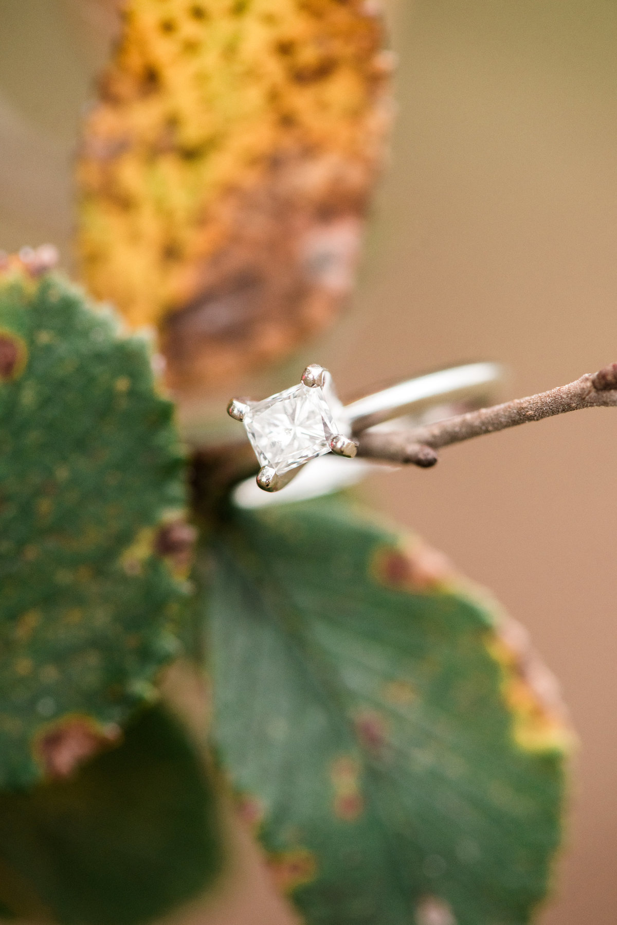 JustinHilaryEngaged0088