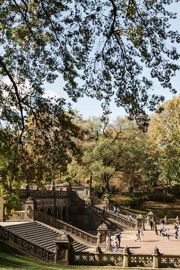 NYC Central Park in Fall