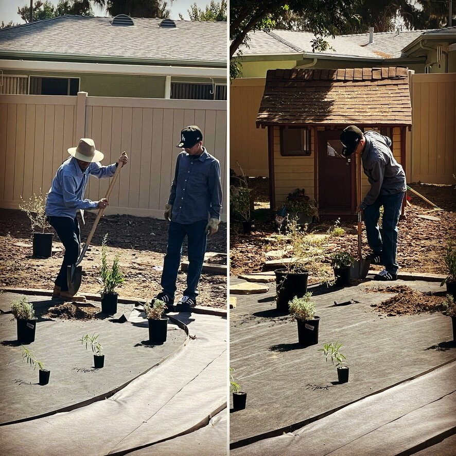 80873C3E-AF36-4572-81AF-270FFED3D11B_1_105_c