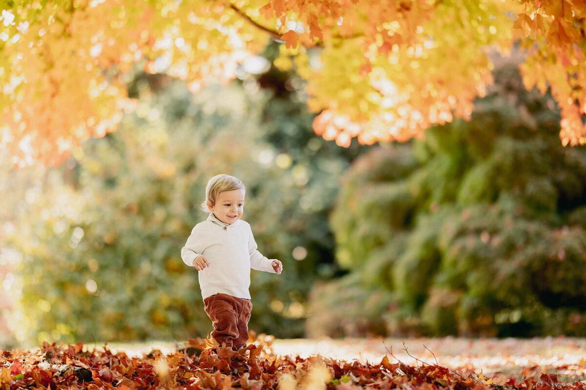 Fall family photo of toddler boy walking through vibrant fallen leaves under colorful autumn foliage