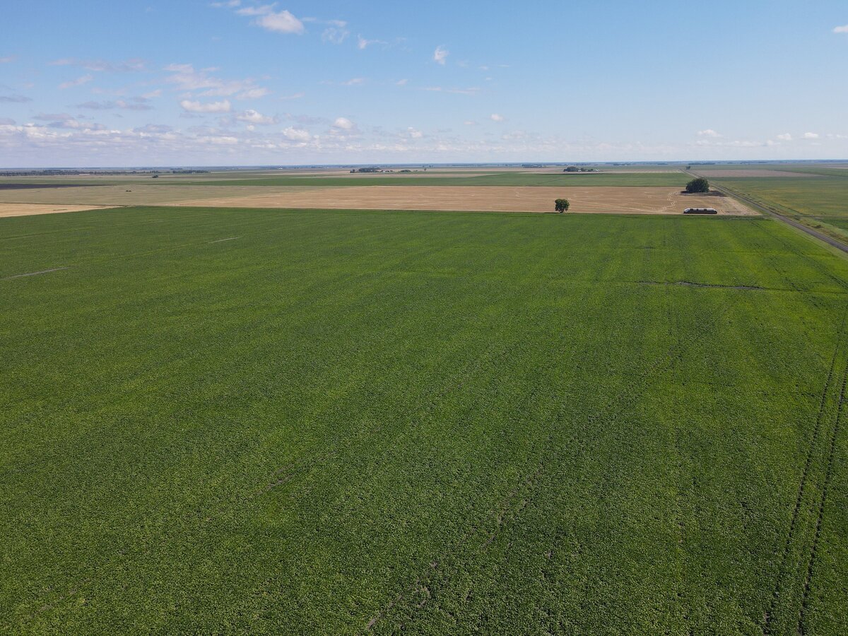 DJI_0872