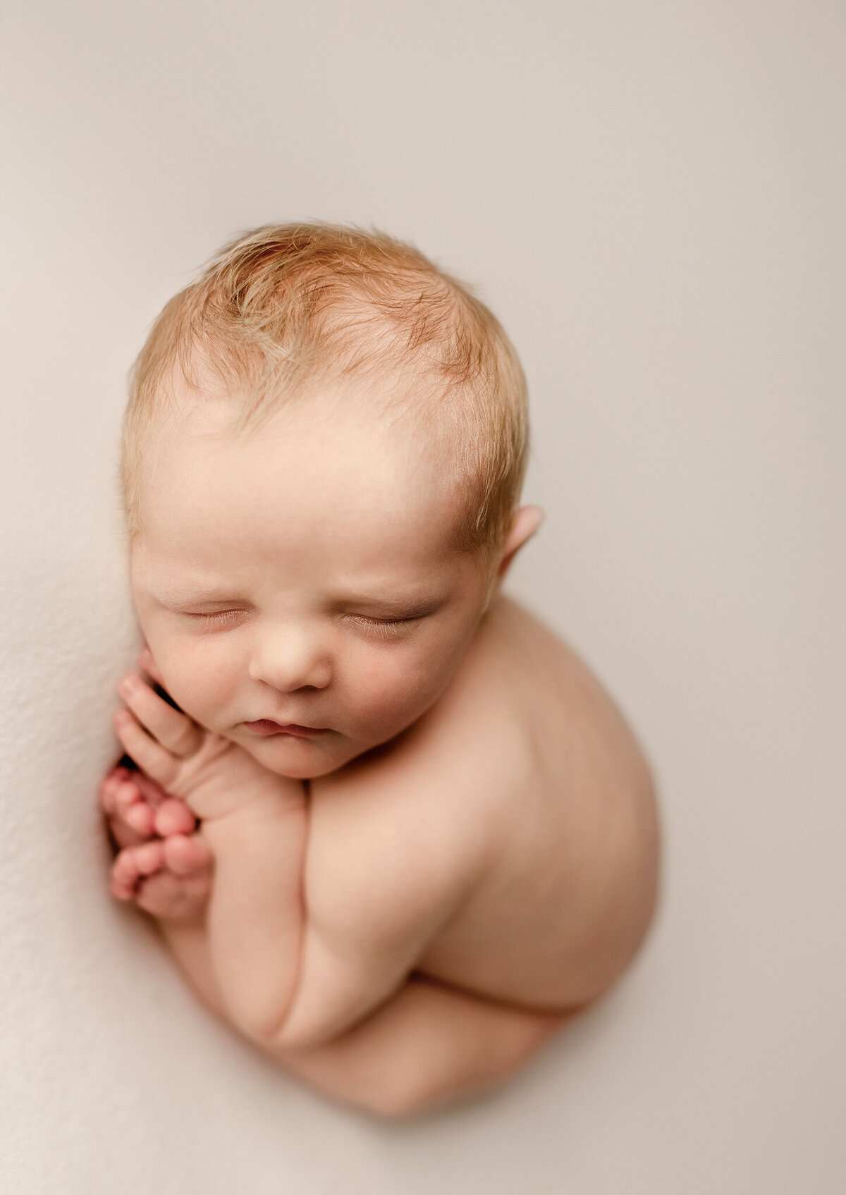 newborn-photography-denver