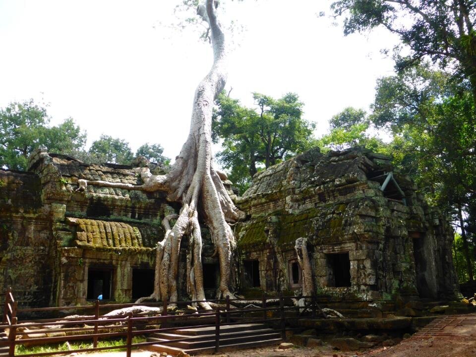 Cambodja6