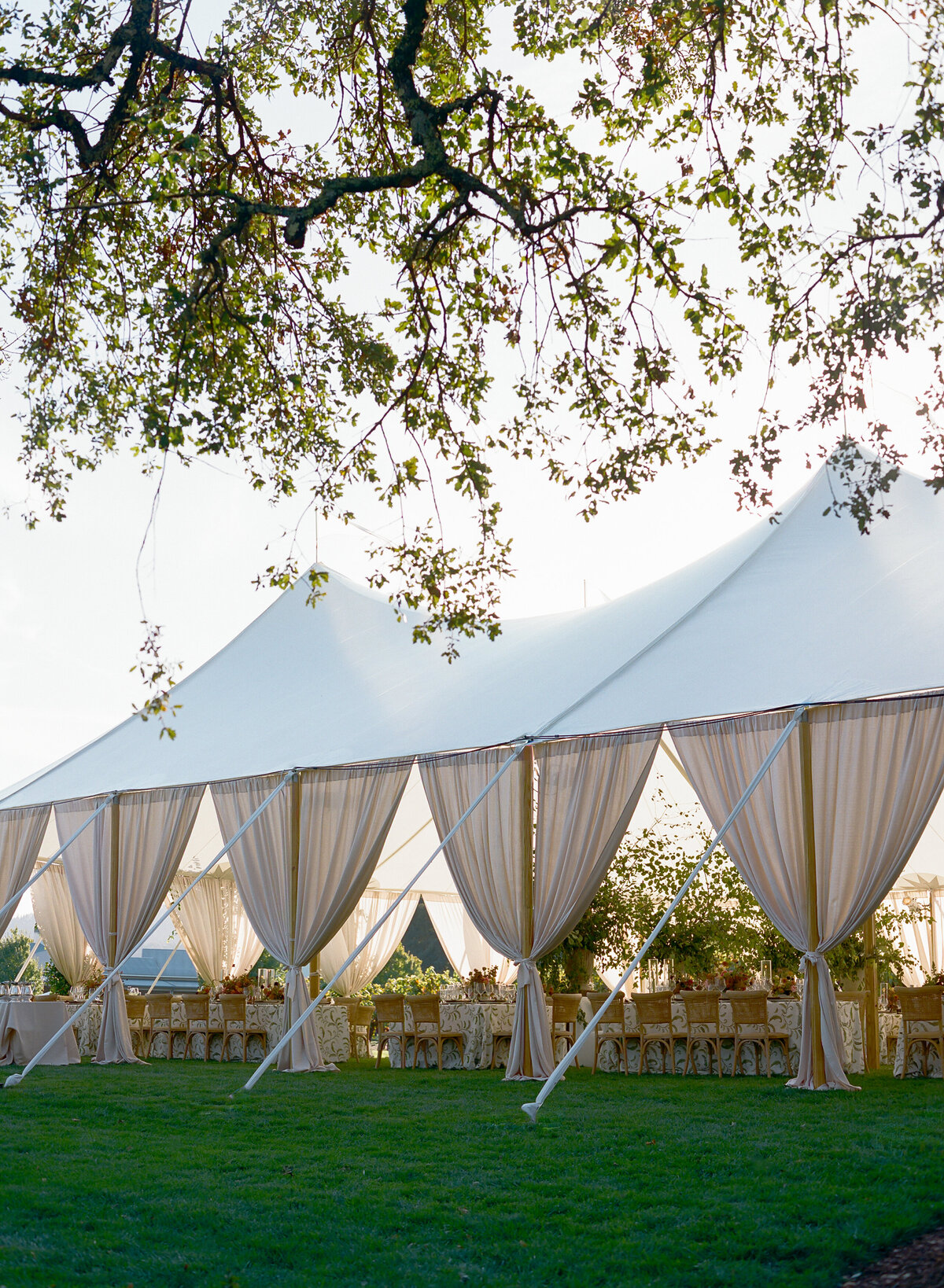 DT-2025-Celine & Gabe Highlights-136