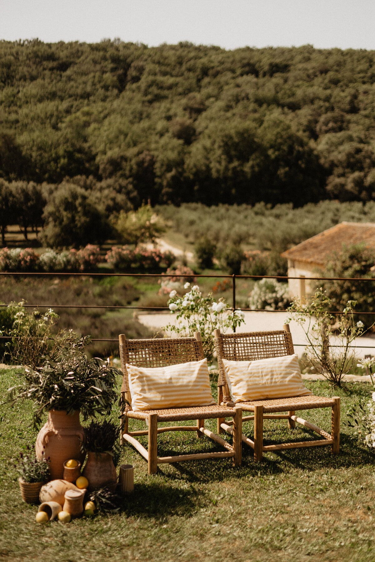 mariage-dans-les-lavandes-de-provence1