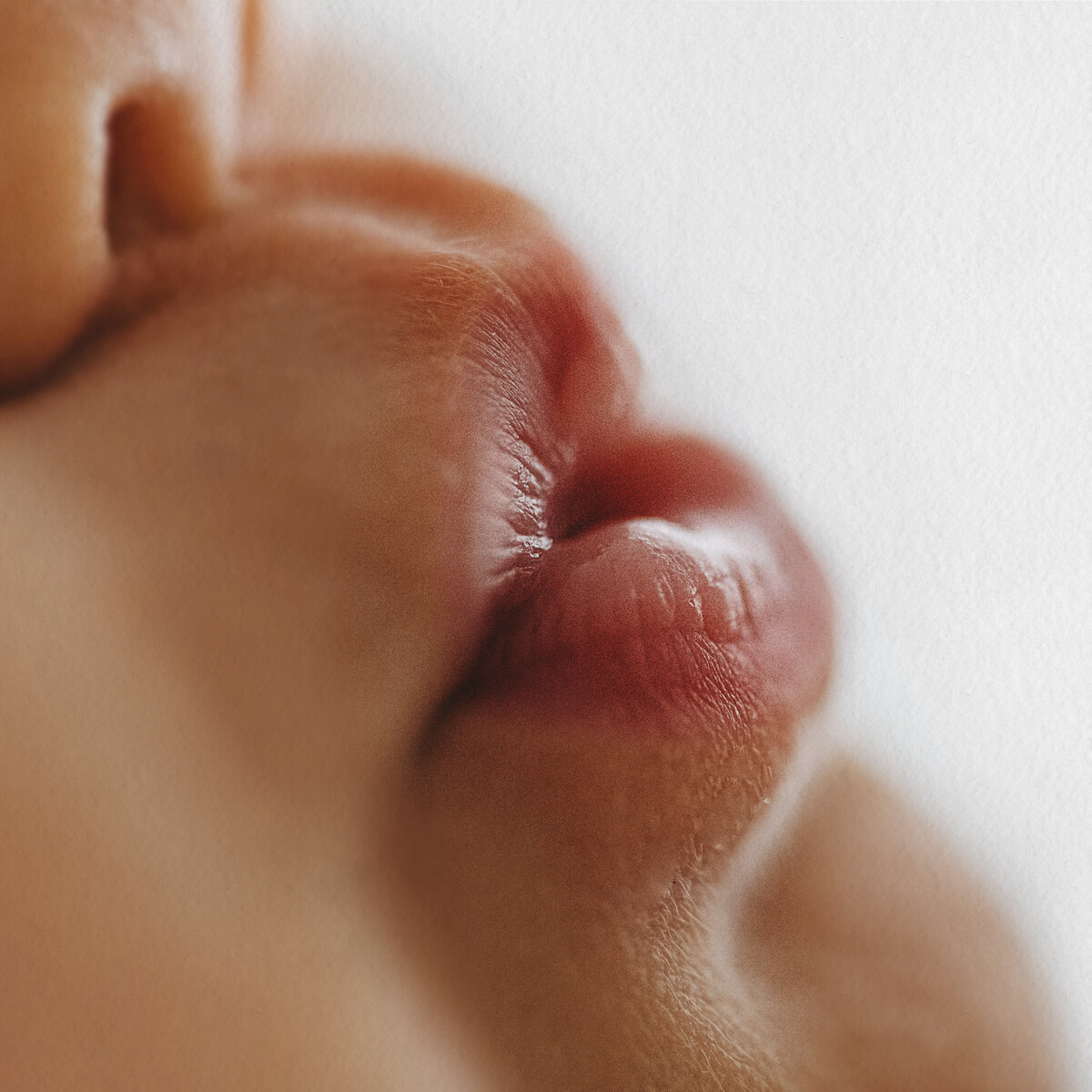 LittleWhitePhotography-Newborn-5