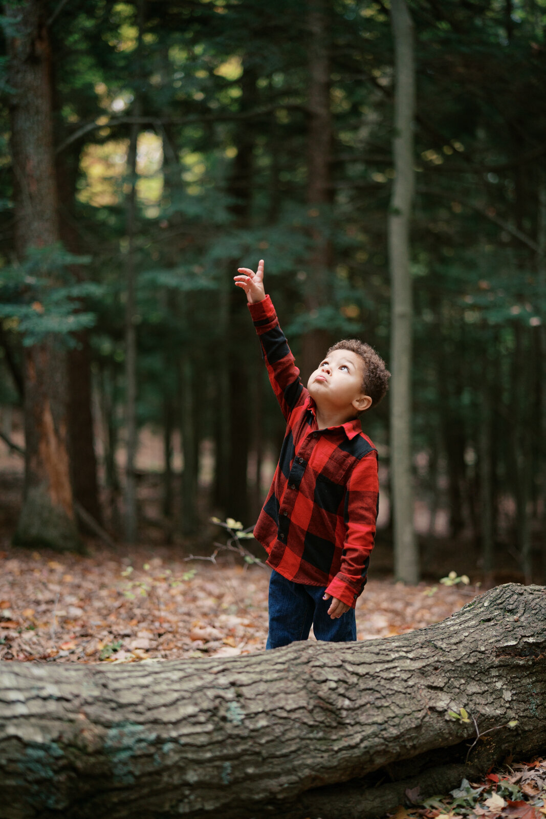 Grand Rapids Family Photographer-414