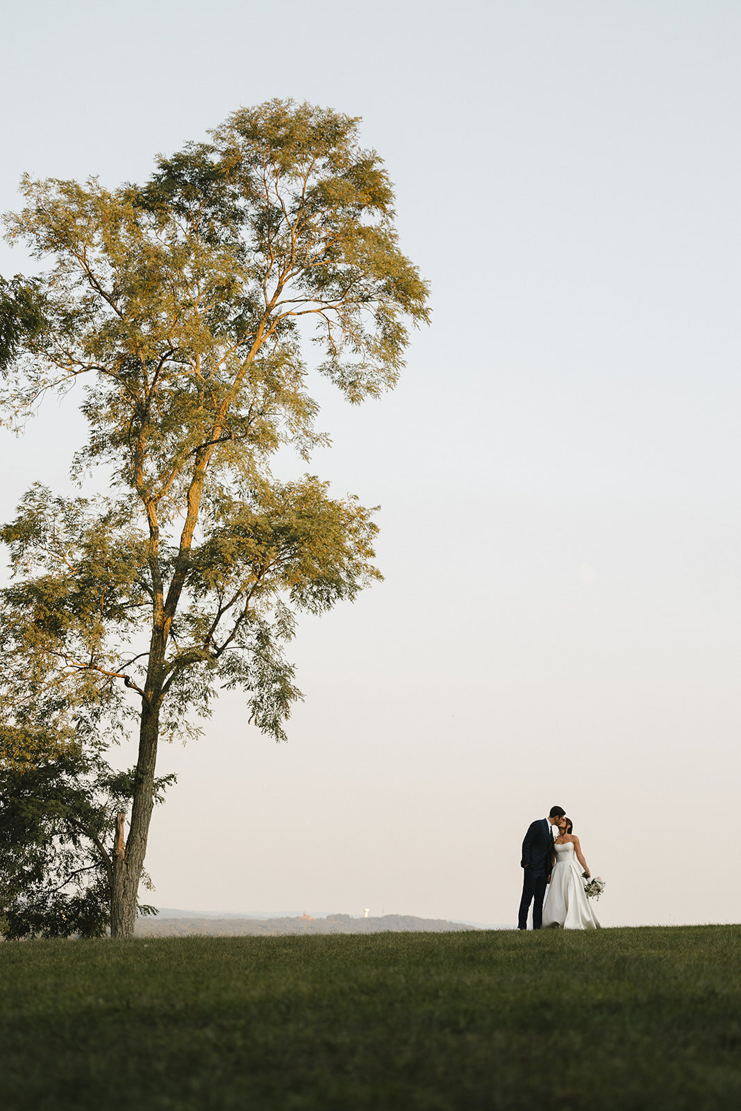 dreamy photography red maple vineyard