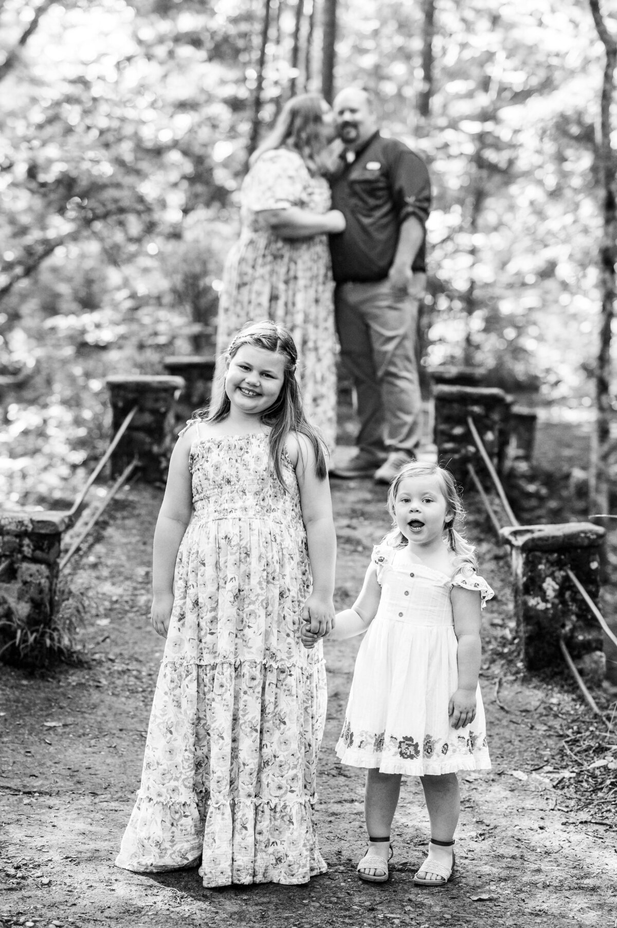 smoky mountains family session-98