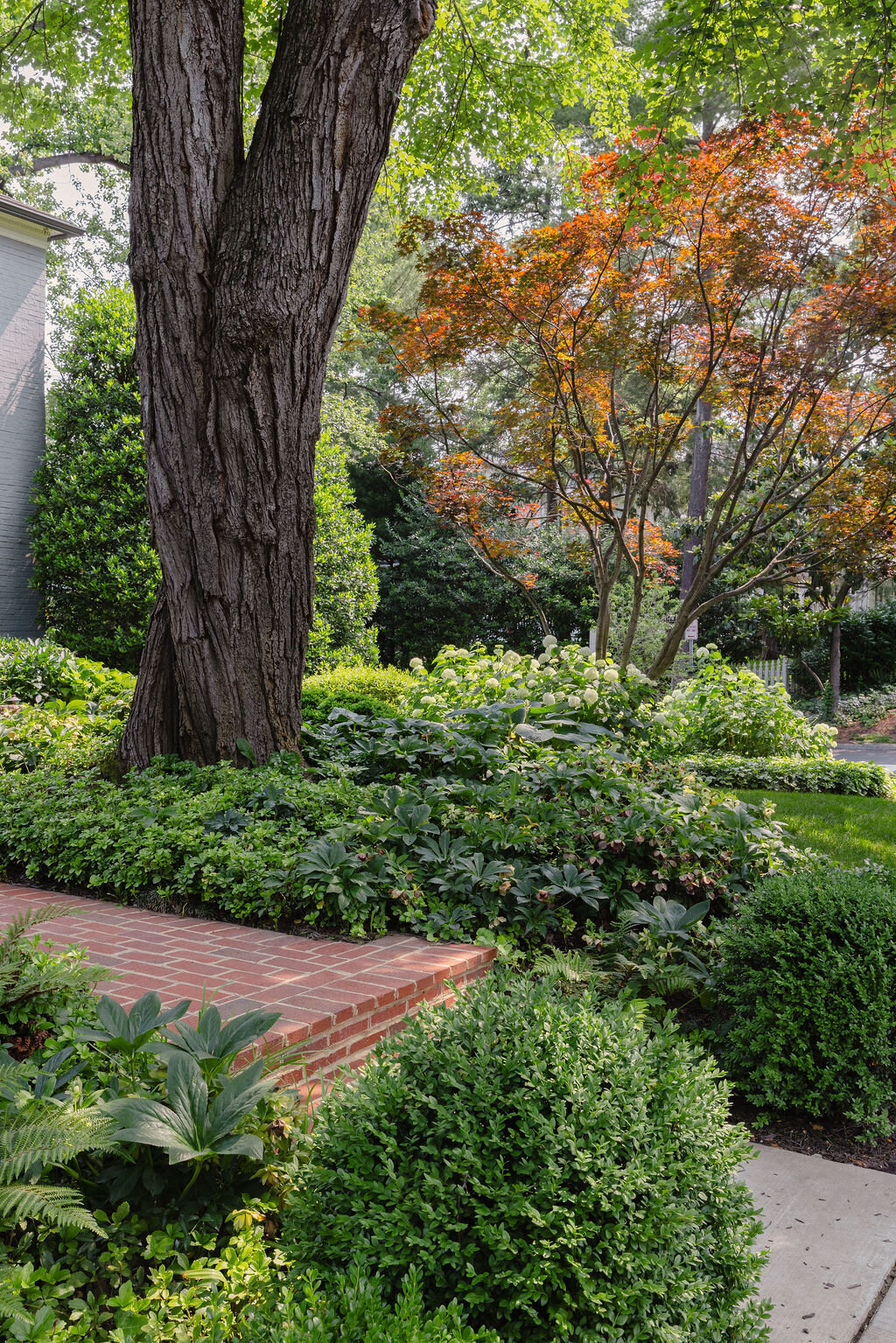 seasonal landscape maintenance dmv 9