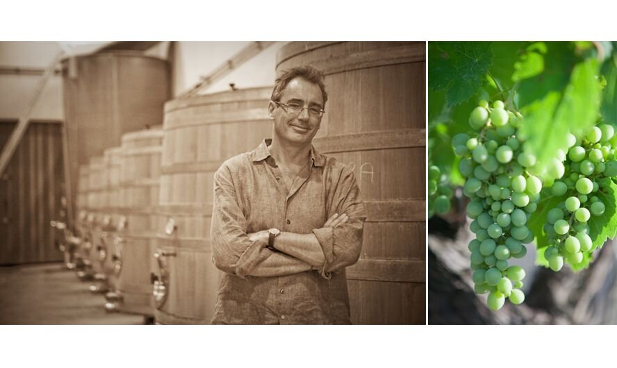 31_0_370_1newlayout_grapes