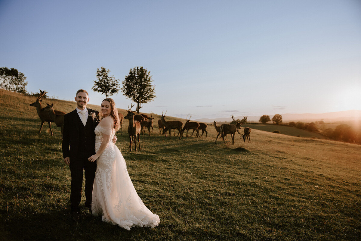 Worcestershire wedding photographer_Katie and Dan - Deer Park Hall - DanTomkins Photography-0637-2-1