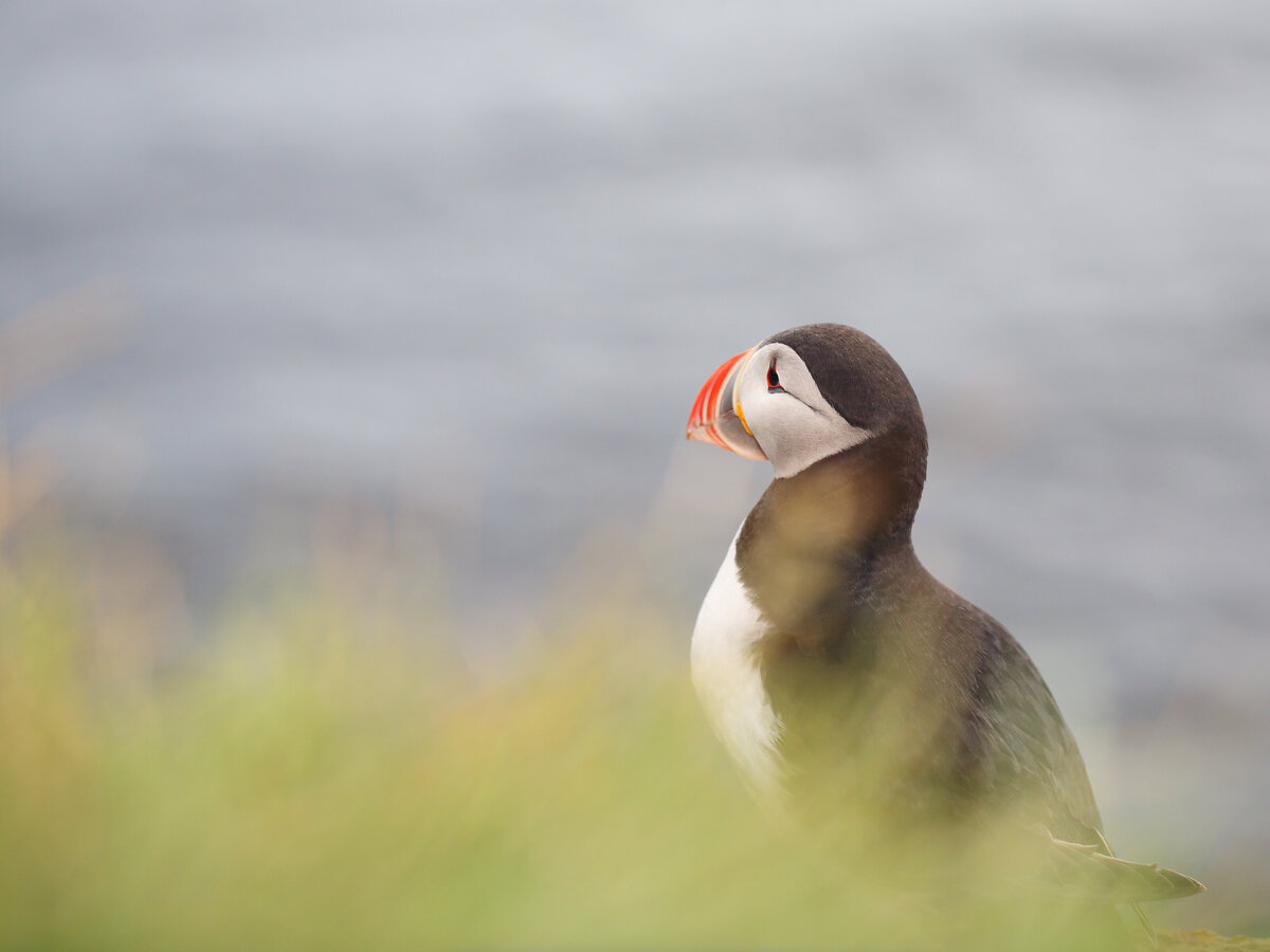 Savannah-photographer-traveler-iceland-07