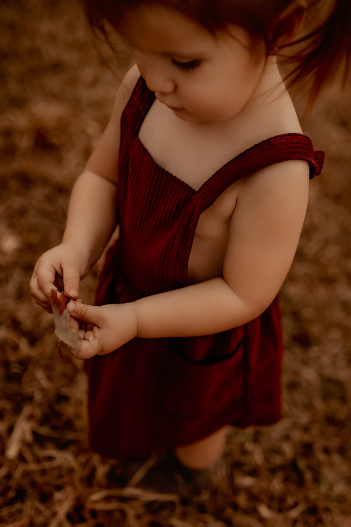 Spring, Tx little girl holding a leaf photos