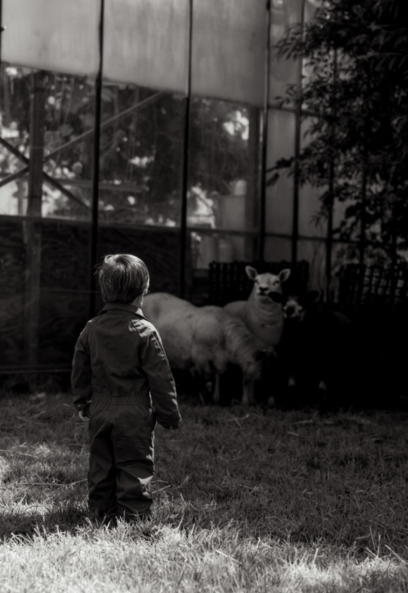 Kind en schaap