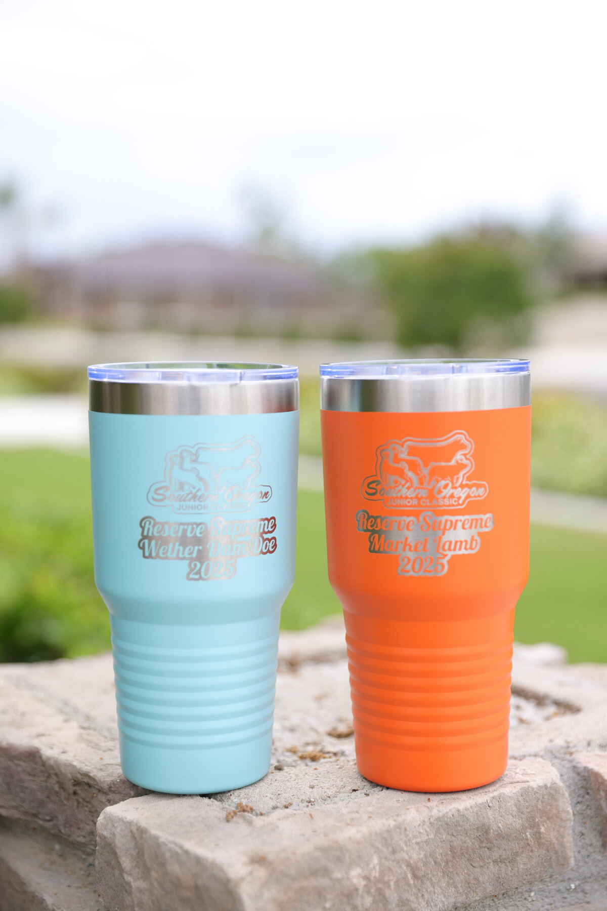 Awards-branding-portfolio2