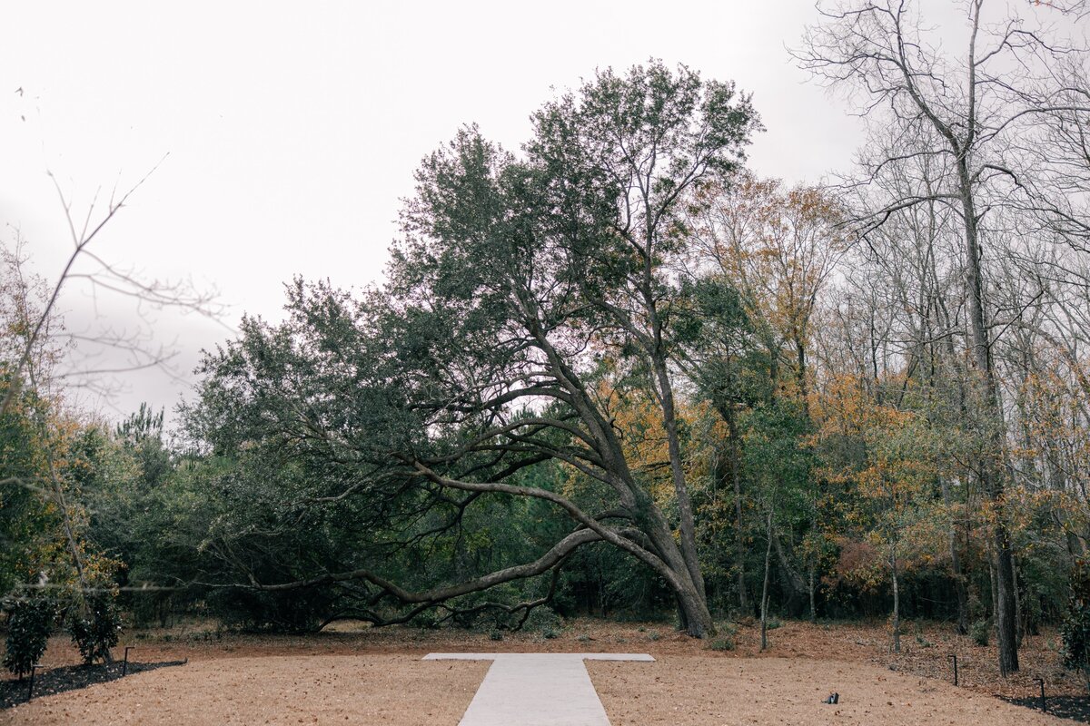 20241217 Evergreen Alley-0020