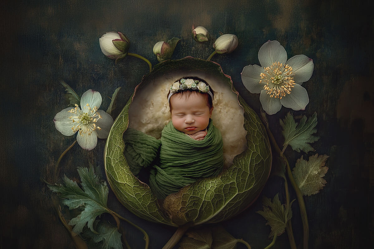 Springfield-Newborn-Photographer-53