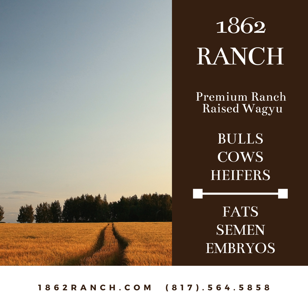 1862ranch.comx.