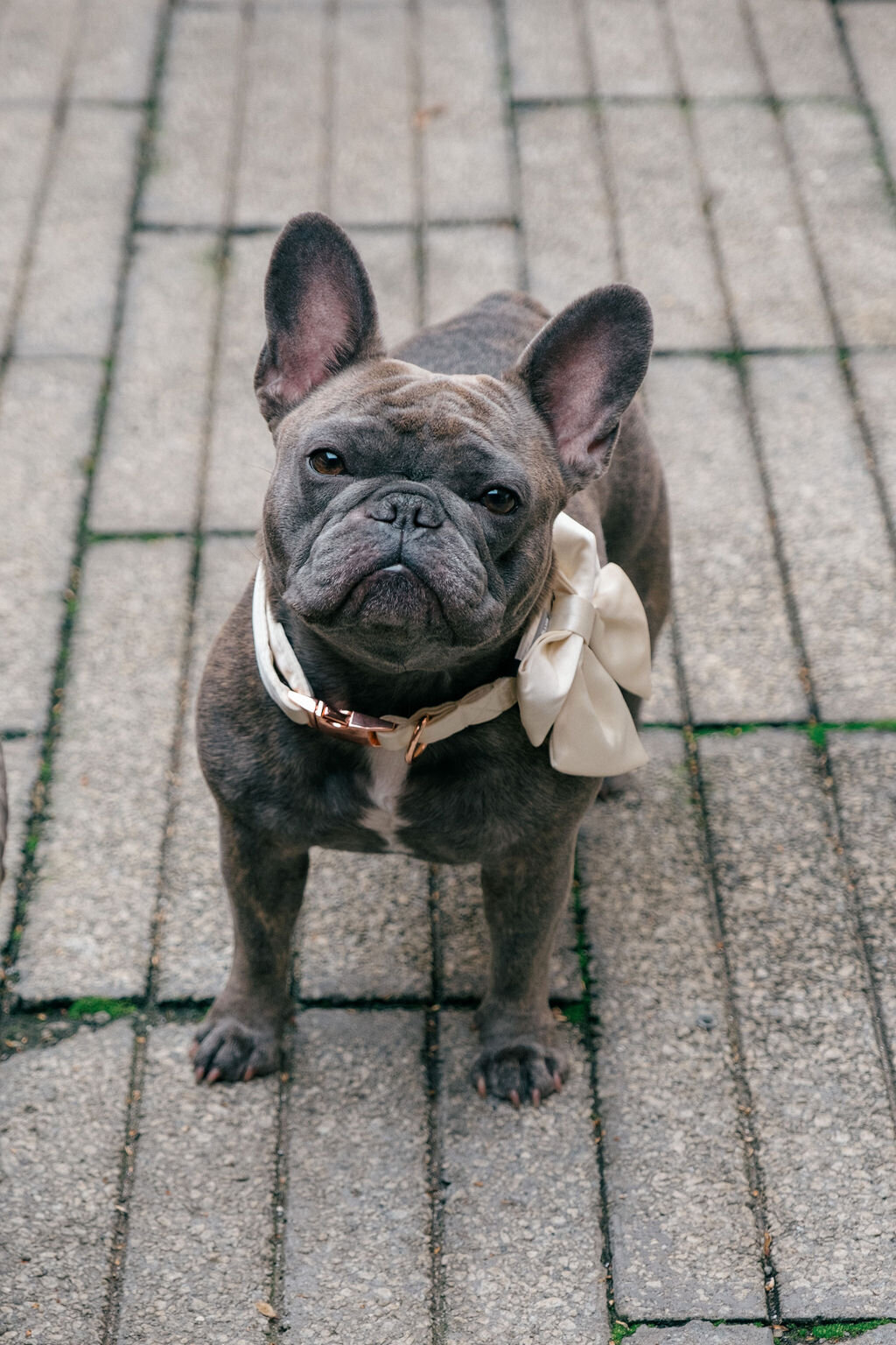 Hendrick+HunterWedding-968