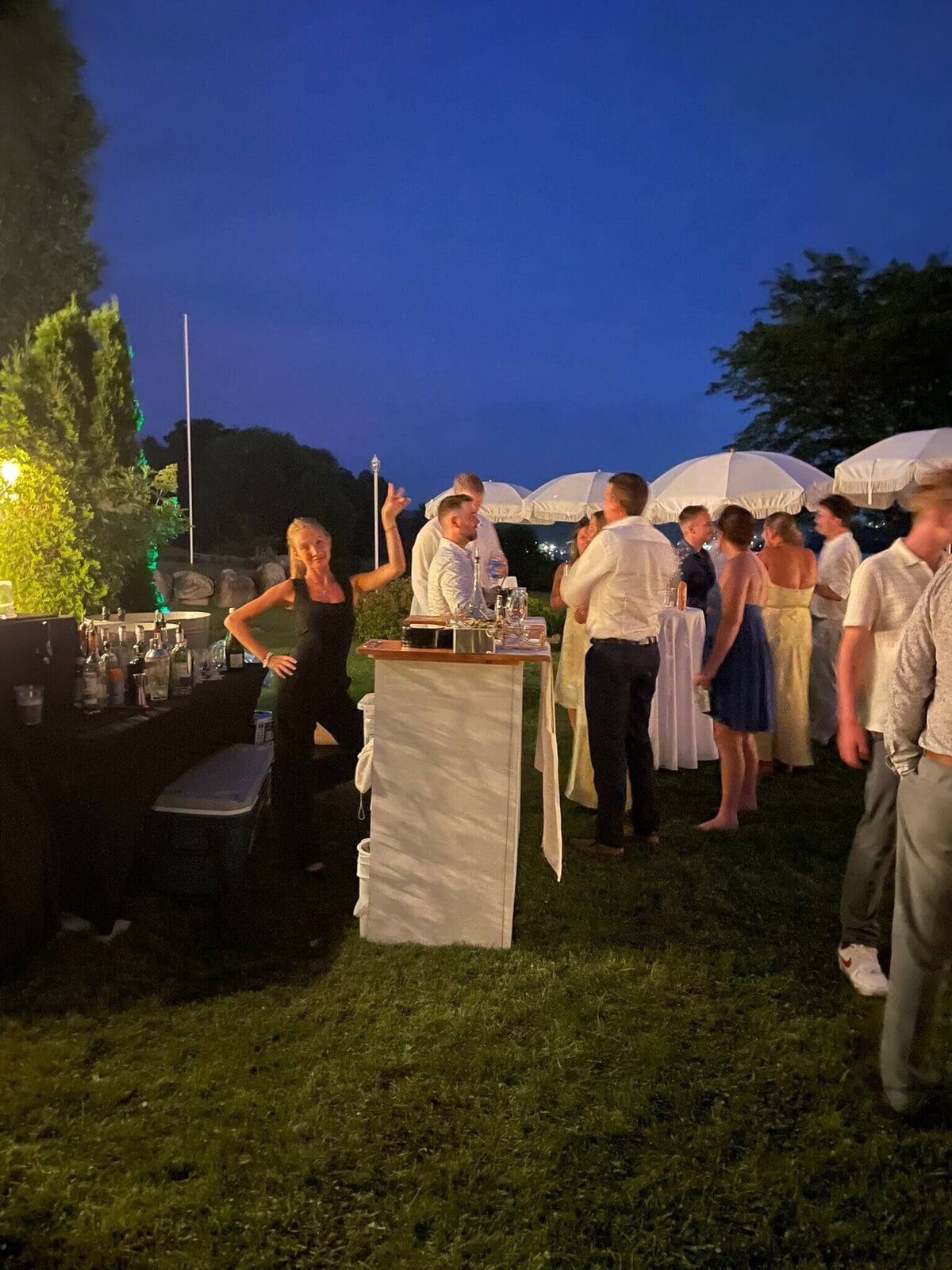 mobile_bar_ontario_hire_bartenders_event_wedding_bachelorette_party (1)