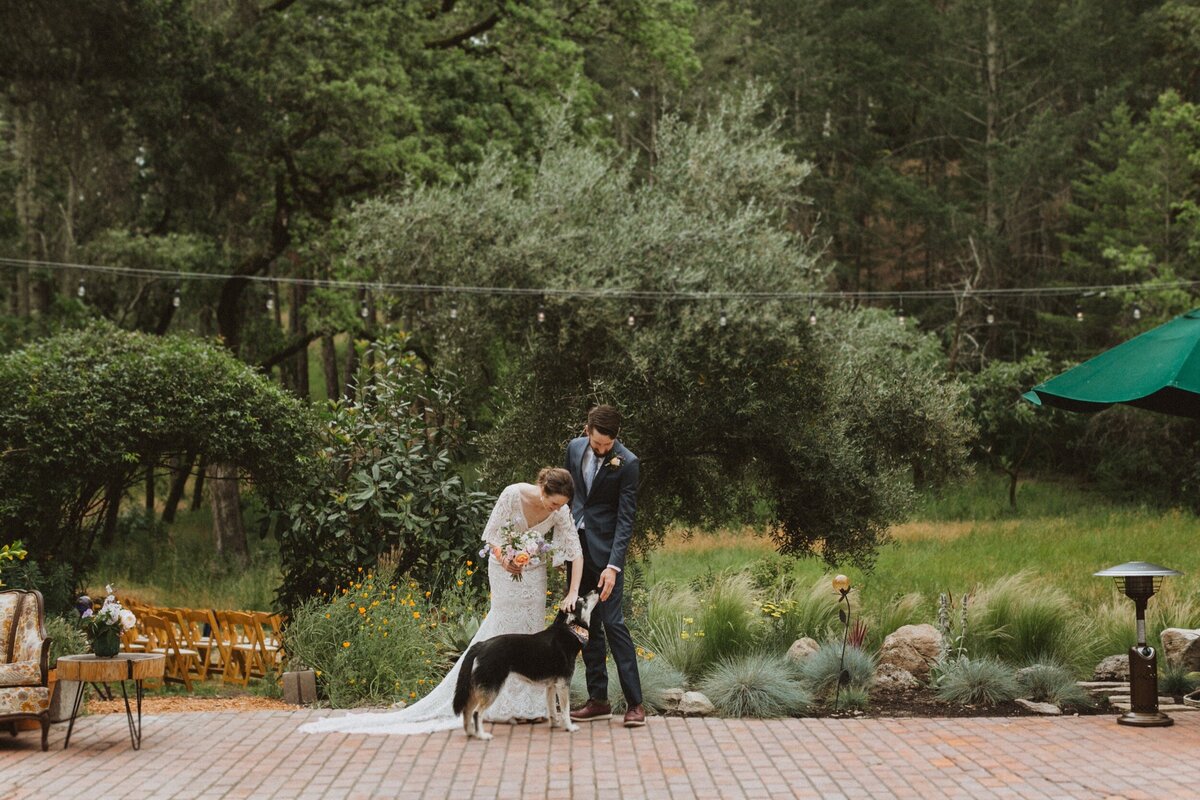 Backyard-Calistoga-Wedding-013