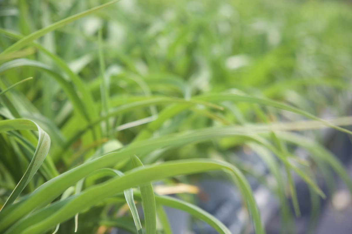 Screenshot 2025-07-21 at 10.52.12 AM