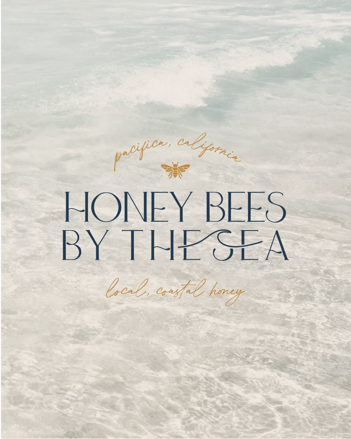 HONEY BEES BRANDING-07