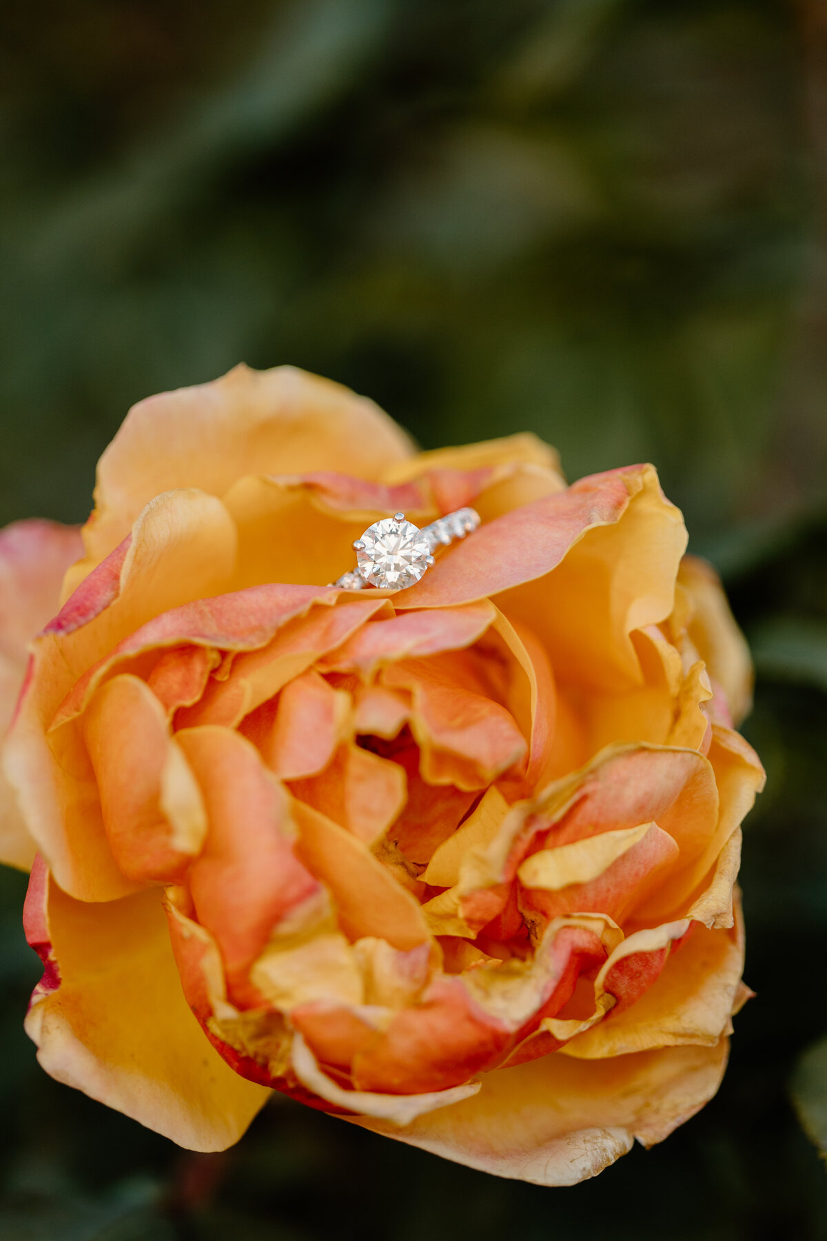 katie&nick-123