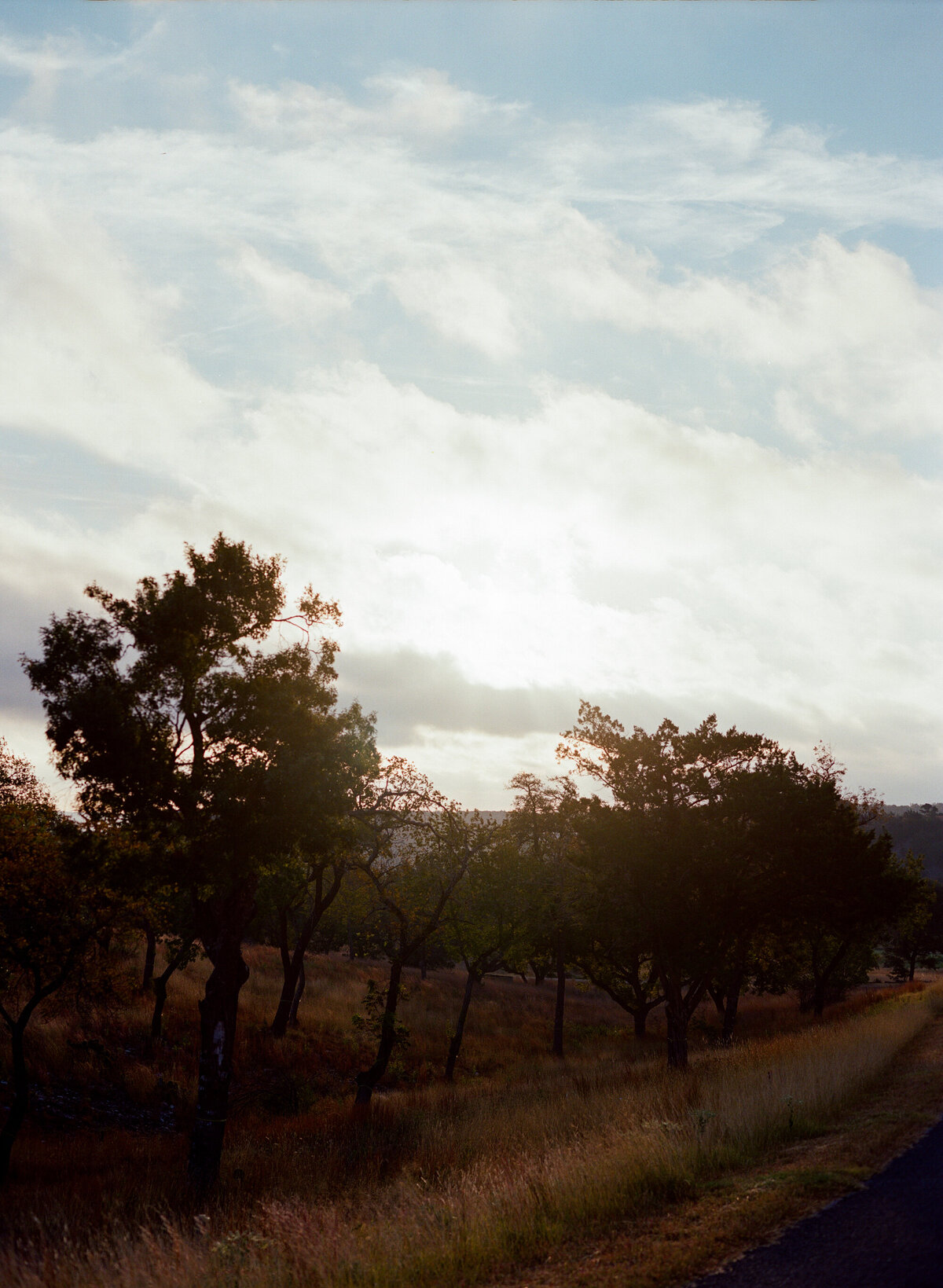 Fredericksburg-Texas-Boot-Ranch-Wedding-5