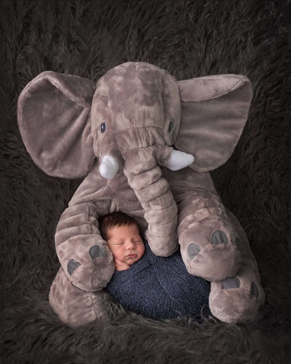 Creative newborn photoshoot with elephant by Laura King