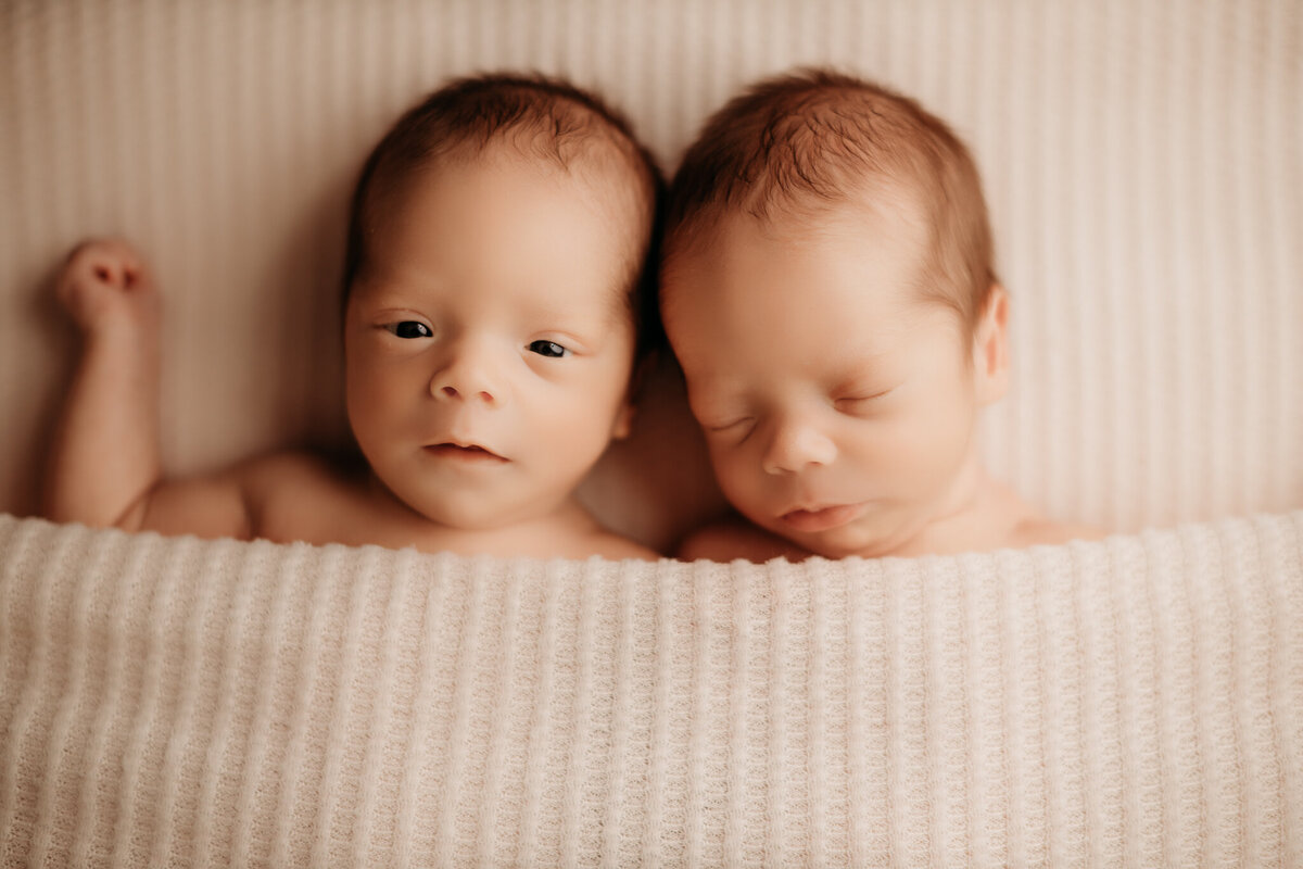 NWA newborn photographer, newborn portraits NW Arkansas