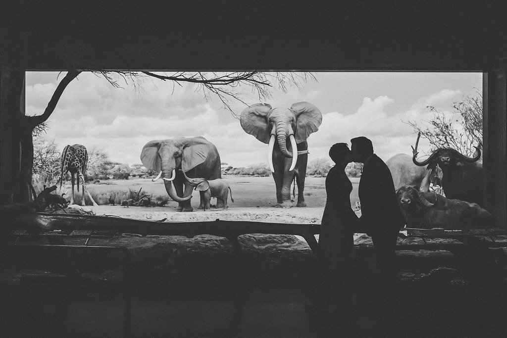 Silhouette of bride and groom kissing in Natural History Museum of Los Angeles