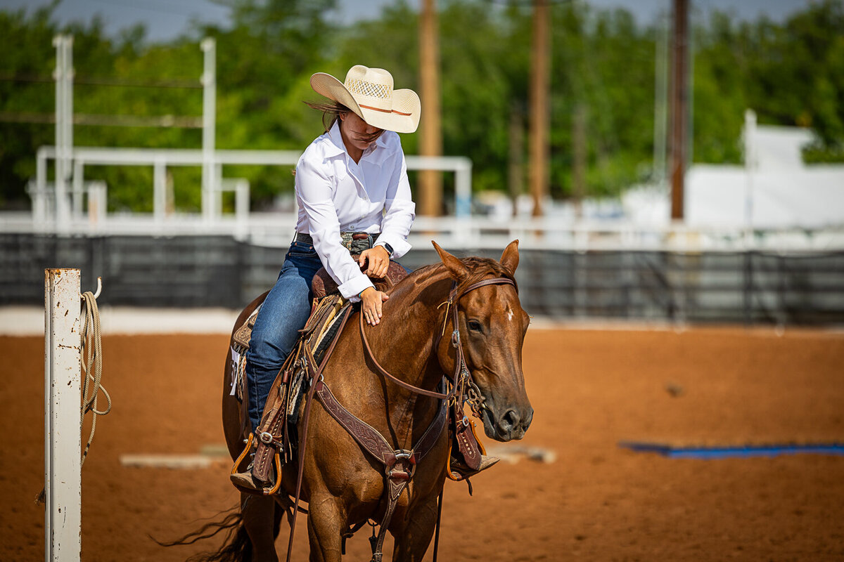 New-Mexico-Horse-Show-Photographer-013