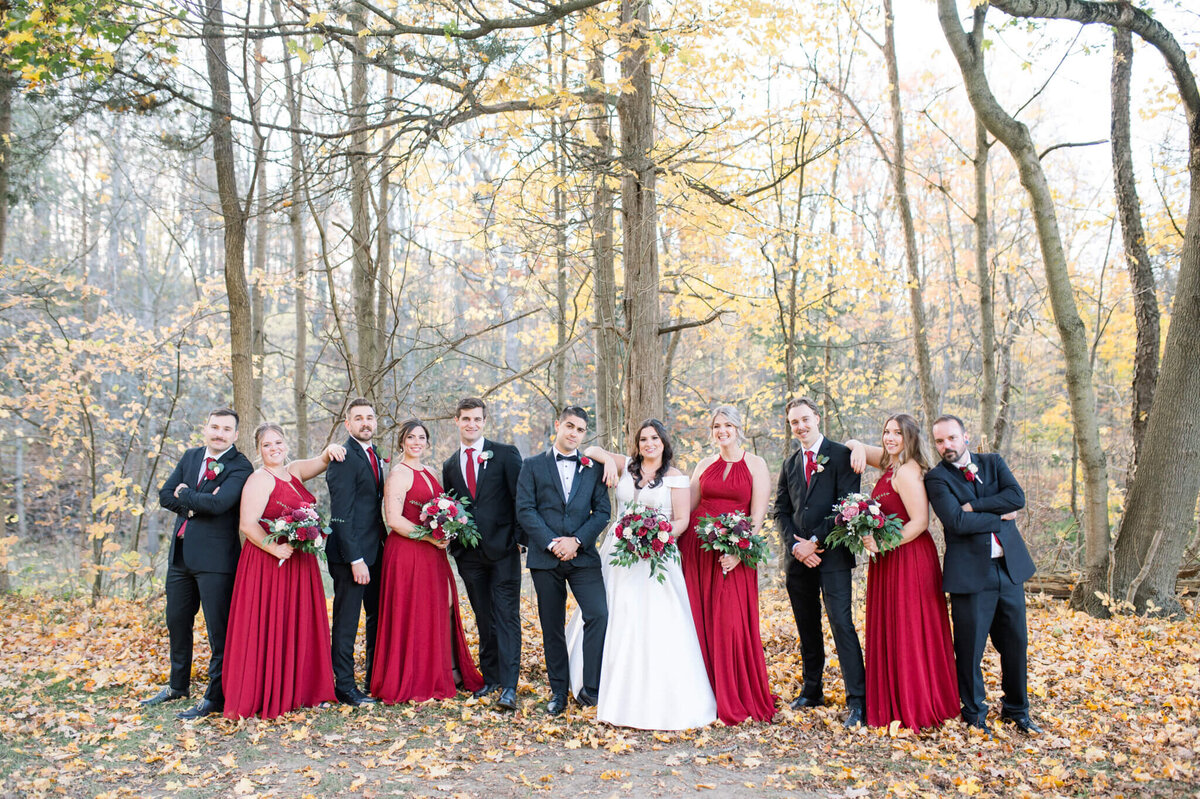 Niagara wedding photography of entire wedding party in the fall at Balls Falls.