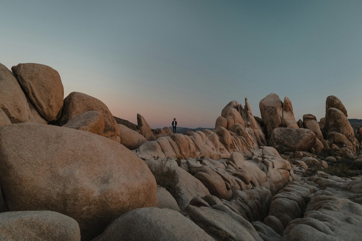 karsten-winegeart-2zvWgdH5PBU-unsplash