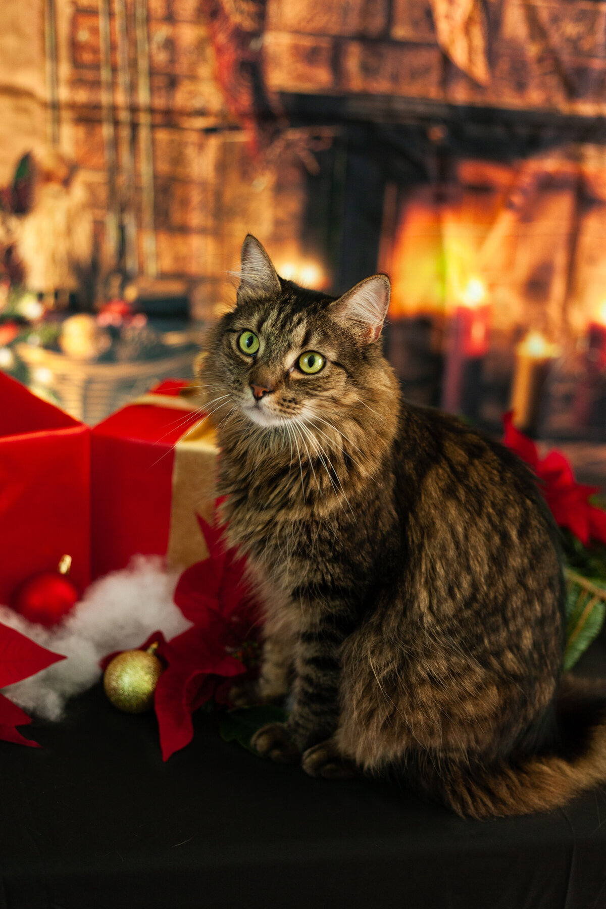 Christmas2023-05