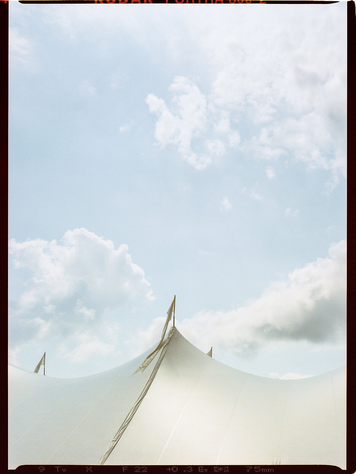 Lake-Minnetonka-wedding-Will-DeGraw-Clever-Disarray-1