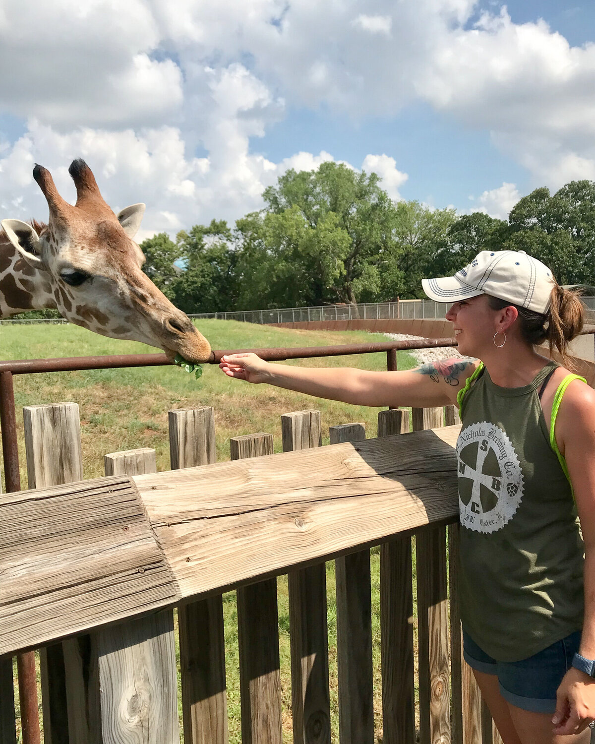 a woman feeding a giraffe at a zoo