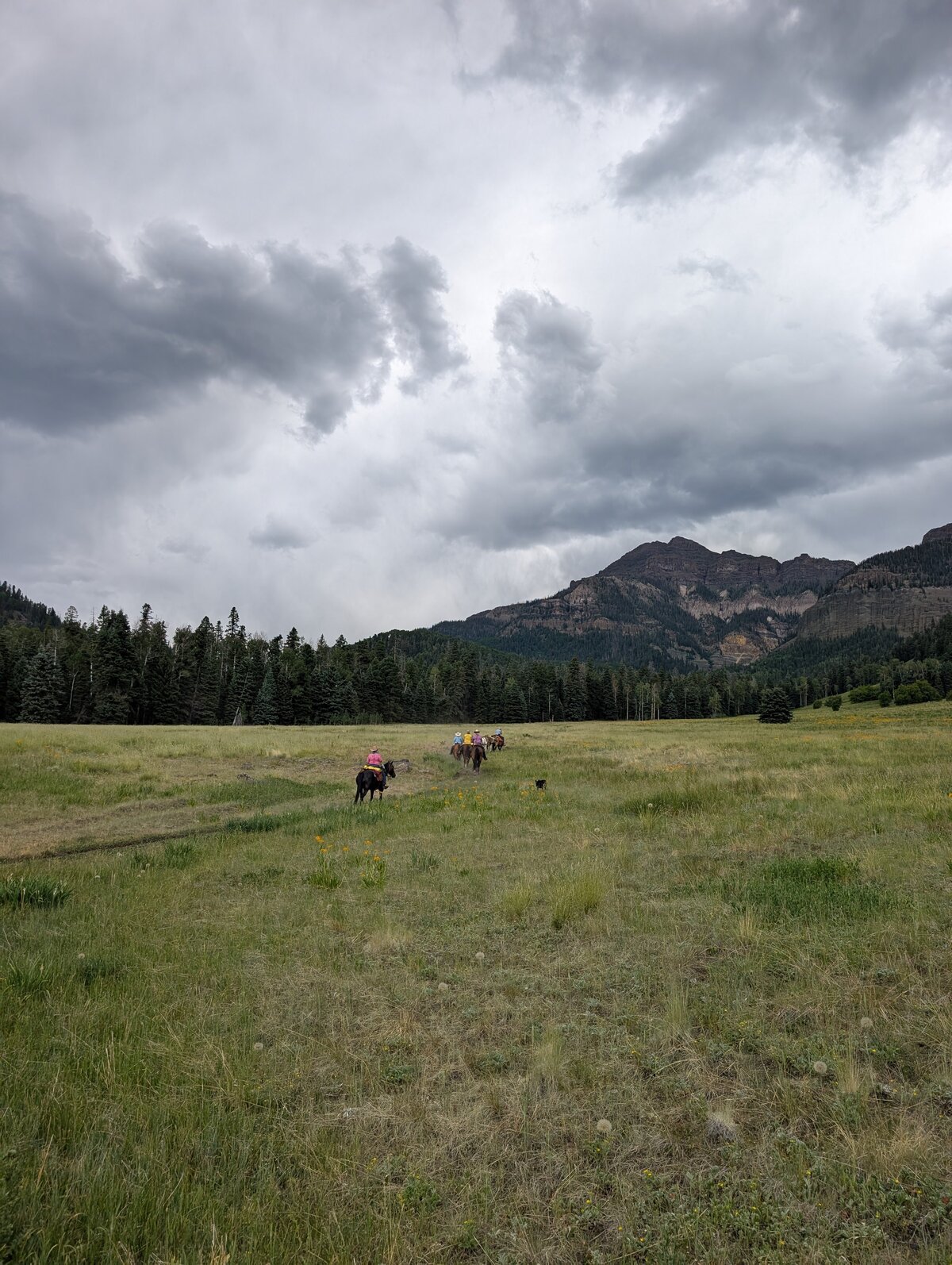 PXL_20250707_184544319.RAW-01.MP.COVER