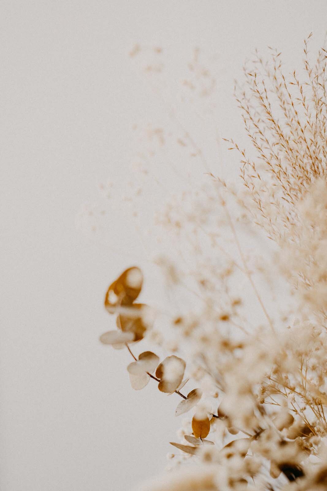 annie-spratt-r3ltI0H44Ws-unsplash