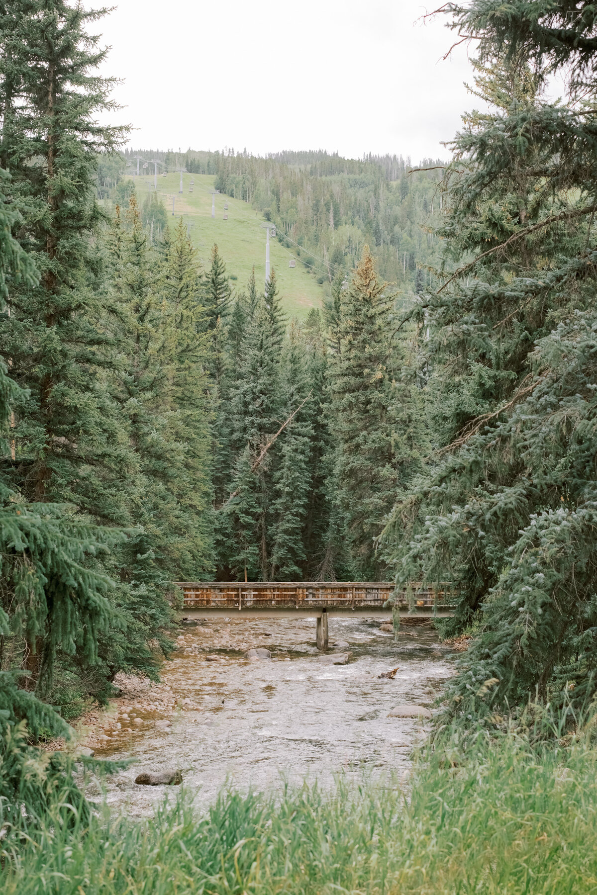 Emi&Zach-11