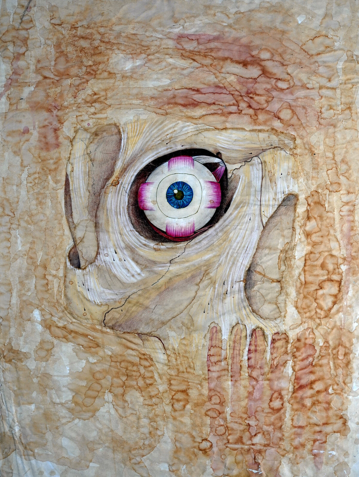 Brent Ray Fraser Anatomical Drawings 2001 - 05